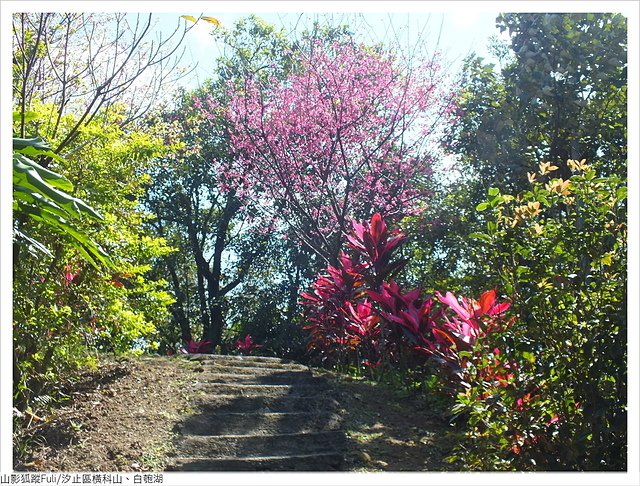 橫科山白匏湖 (37).JPG - 橫科山、白匏湖