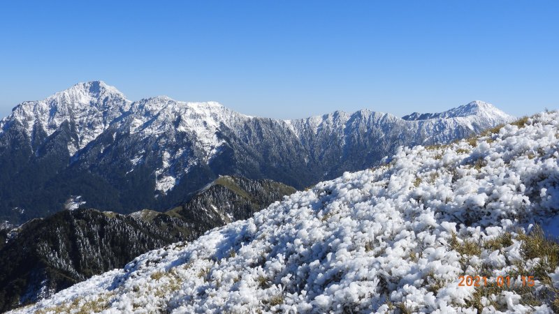影片分享 - 2021寒流合歡山追雪,合歡主/東/南峰單攻