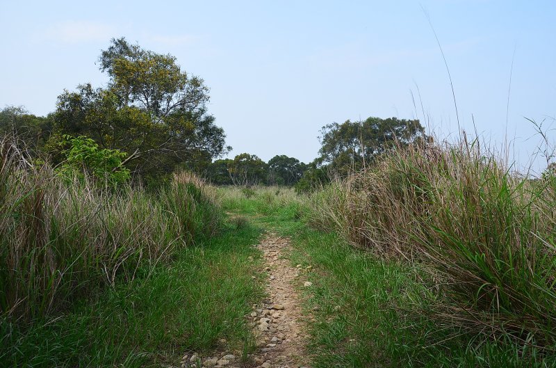 a9aa7492386aee0e3263ae1695225d57.jpg