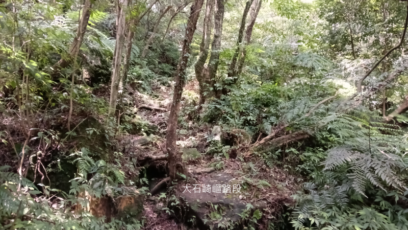 a9ac3d6e28784d062f988e5766ff93a4.png