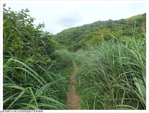 南子吝東南峰 (8).JPG - 南子吝東南峰