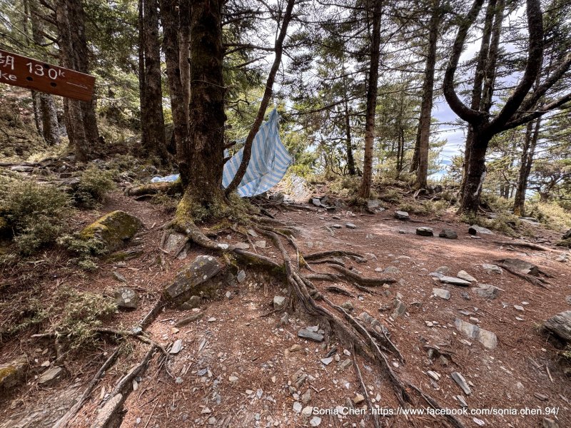 a9b80cc31e9c582d09b11654761bd021.jpg