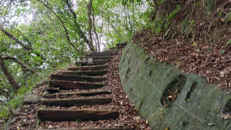 aa82293775179f00c0a11ffe13776aa2.png