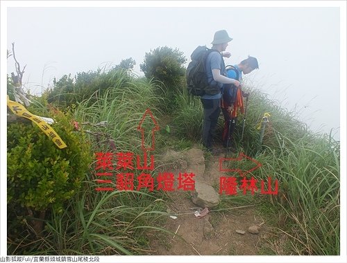 雪山尾稜北段 (26).JPG - 雪山尾稜北段