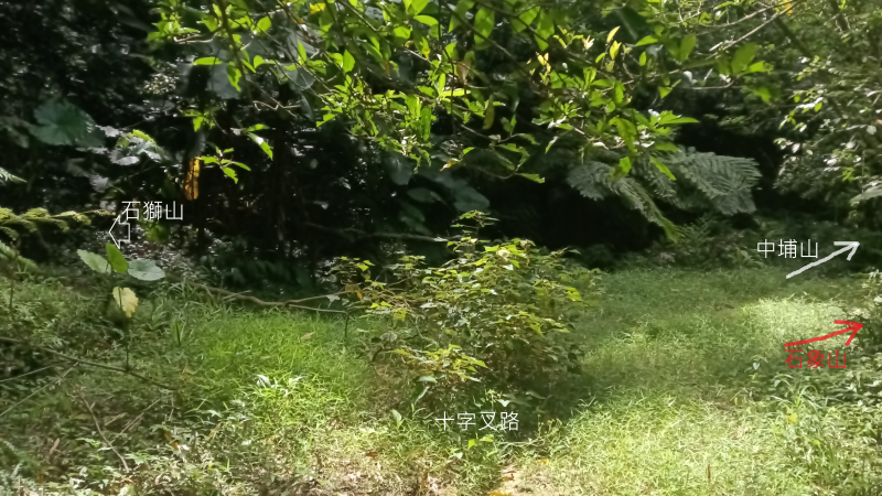 ab09be569275767fbc7c2243e58bea95.png