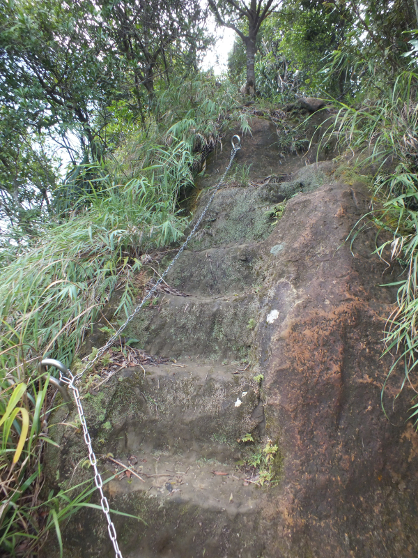 ab4125489affa99fec7ac950d998604d.jpg