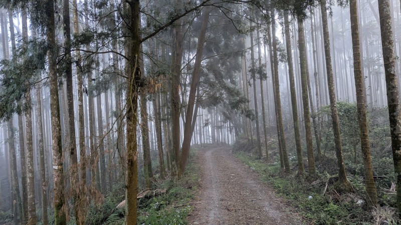 大凍山八連峰越野跑