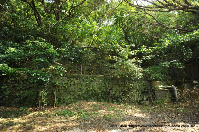 ab96692a196ae3cb11c76e6d9eaa0ee8.jpg