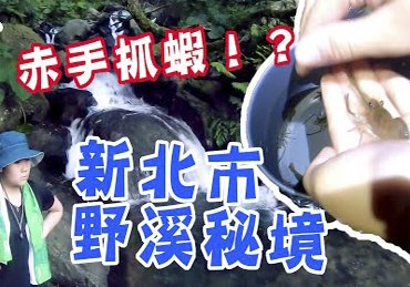 【烏來哈盆古道】這麼近的野營秘境?赤手抓蝦啦