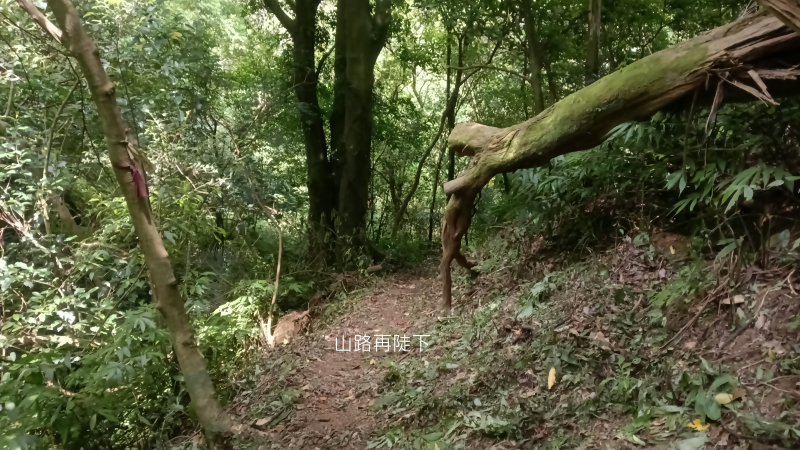 ac46c1ca66247908f256d1d16530d5a2.png