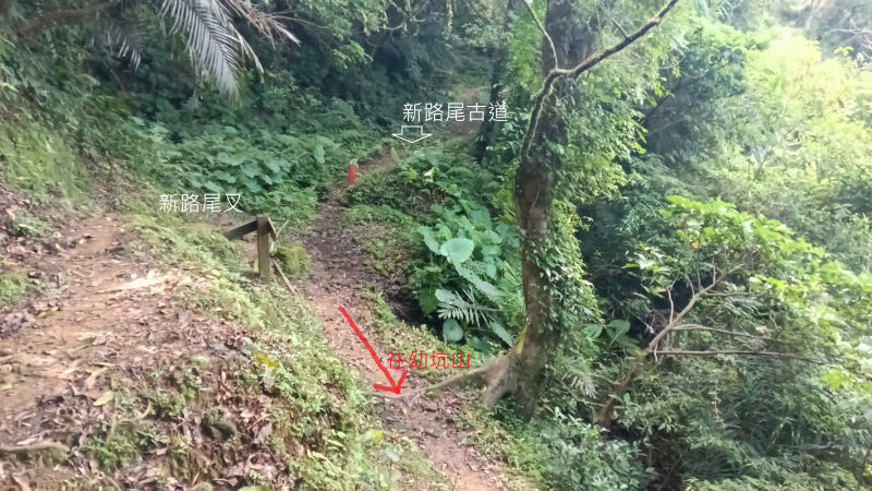 ac73fe870d455d04a59455da1a7cc00a.png