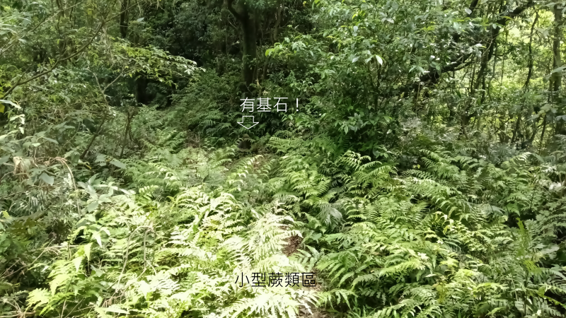 acb4667f7c2398600675a1c807babb62.png