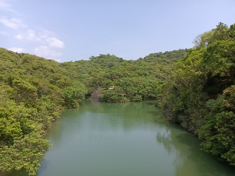 acc1295918f7745db25d1eec72438b45.jpg