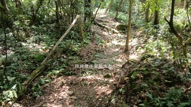 acdb70ac9719c743fd3ad8dd81100a61.png