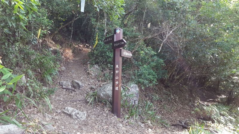 東卯山東南稜串德芙蘭步道
