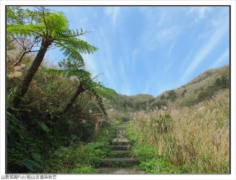 貂山古道 (31).jpg - 貂山古道