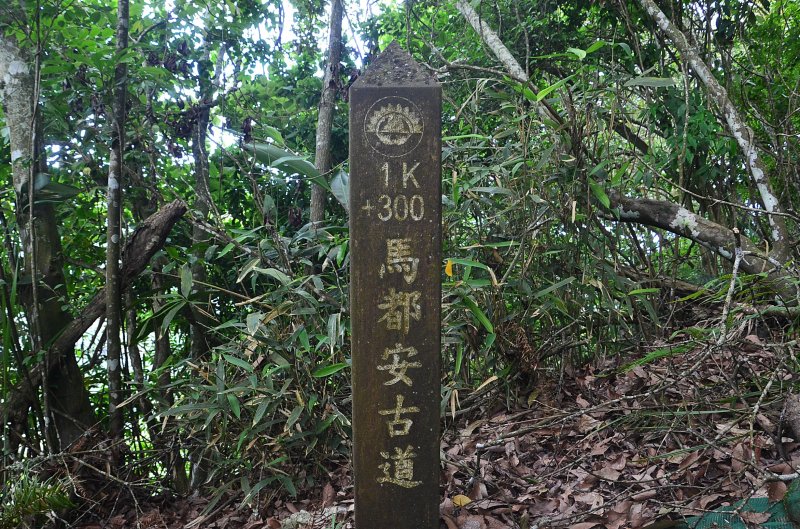 ad84c63e836fc4184ceaf76422156d62.jpg