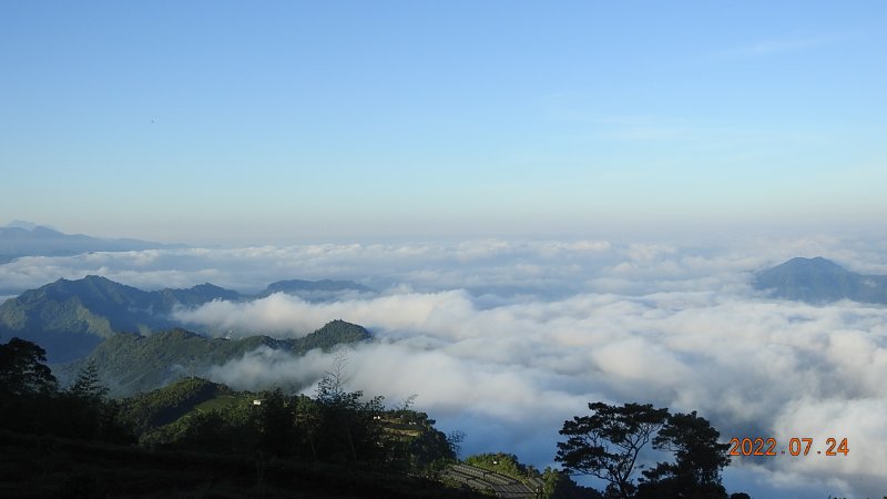 縮時攝影雲山水 - 跟著雲海達人追雲趣第三彈， 最高小百岳 #大塔山 &阿里山 #二延平步道