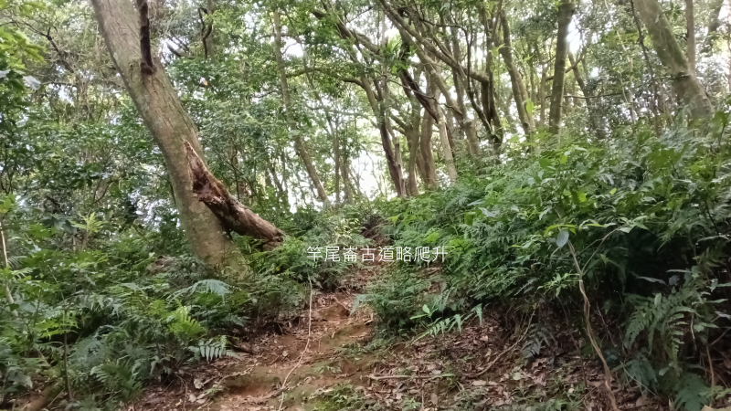 adbaa132f215d8c6163d1918d0605a56.png