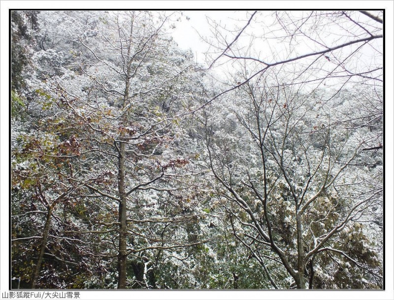 大尖山雪景 (5).jpg - 大尖山雪景