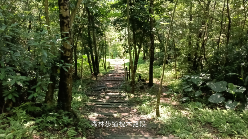 ae62d41897bf27f33c2cd5f2de862aab.png