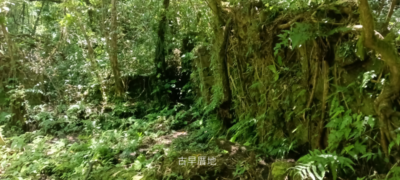 aed318490c53e16d409e49c52f4d26a0.png