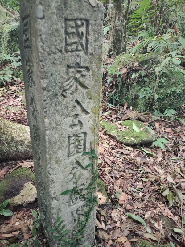 af05f5cfe9f9e6e0c07ae8c28ec9cace.jpg