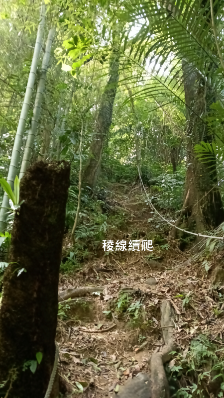 af231f0c59758ced12d231f40eda61fe.png
