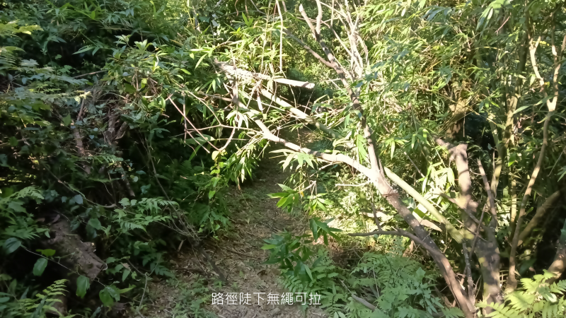 af3e668330b1429c5e3be6f96e67fbb5.png