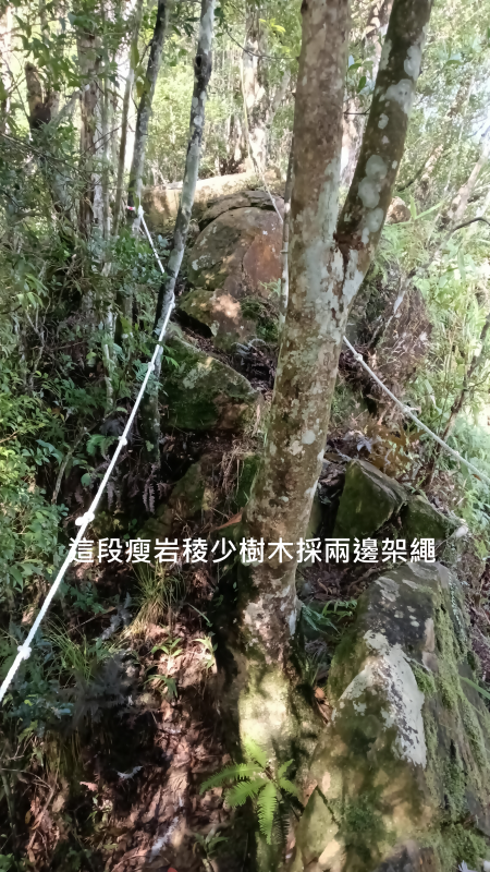 af93c77483526f036ab9e209f0ae126b.png