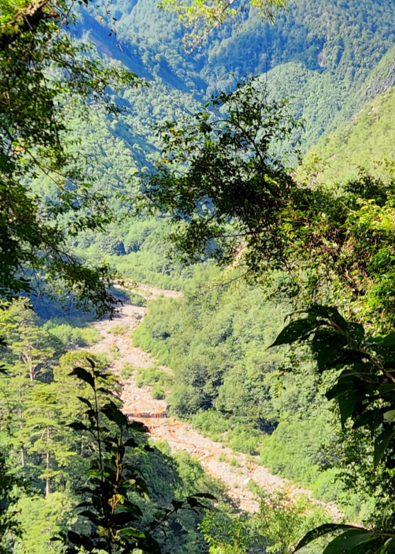 afcf5a006206504d9da73b4ca361871f.jpg