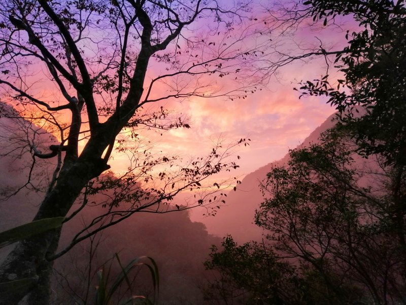 苗栗~美麗的夕彩是山行最美的 ending~鳥嘴山登山步道