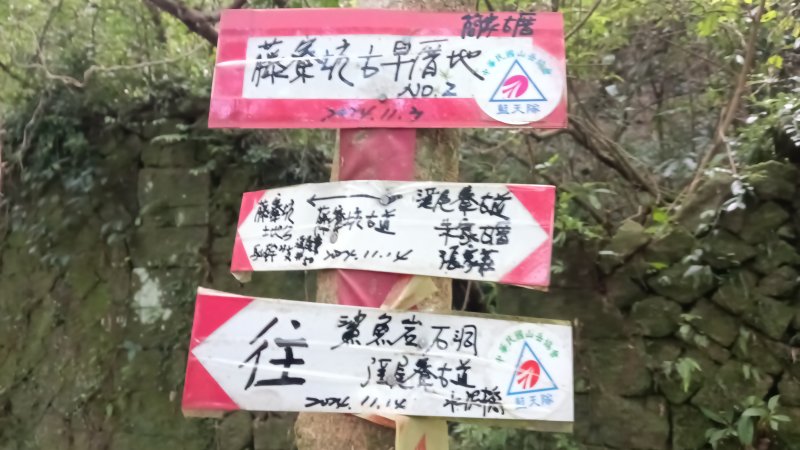 afe483daac805e881ca925a7956e3d4a.jpg