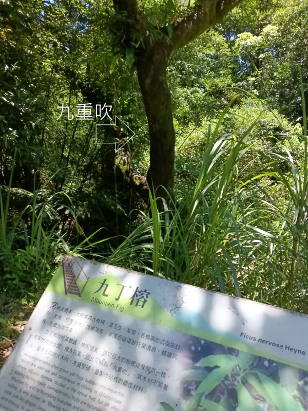 affdd918f16e2bf06f7a14026b849c93.png