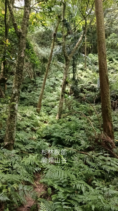 b0504c885e7a1b261850071e7202c70d.png