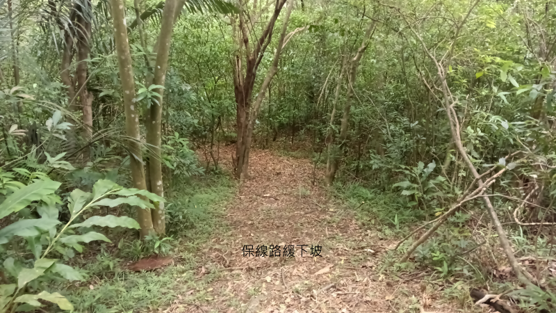 b06297832ea2cf6937cf83288fe53392.png