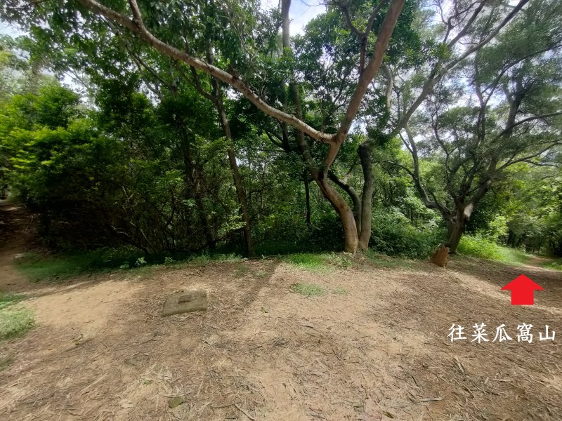 b0820f465ddfc9268a9312d343089541.jpg