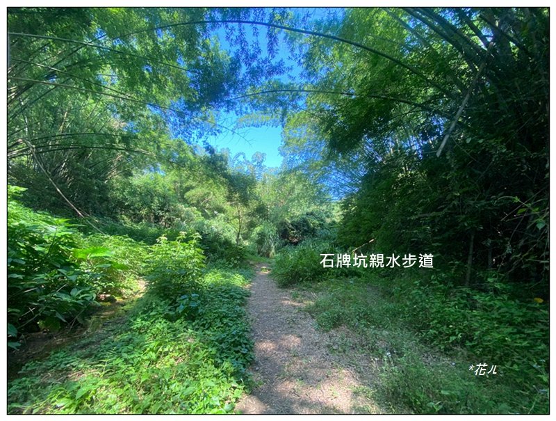 b09c5ac961a8803a414b983d50994a9c.jpg