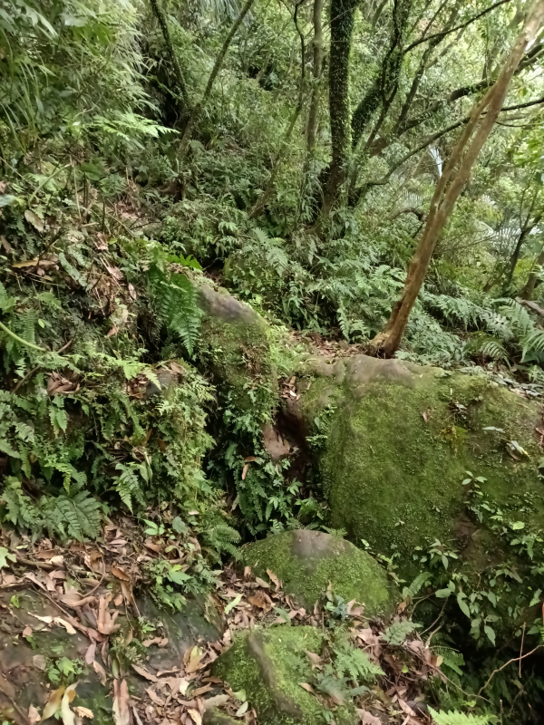 b0a62933181040ab8d3dc4a2257497d9.jpg