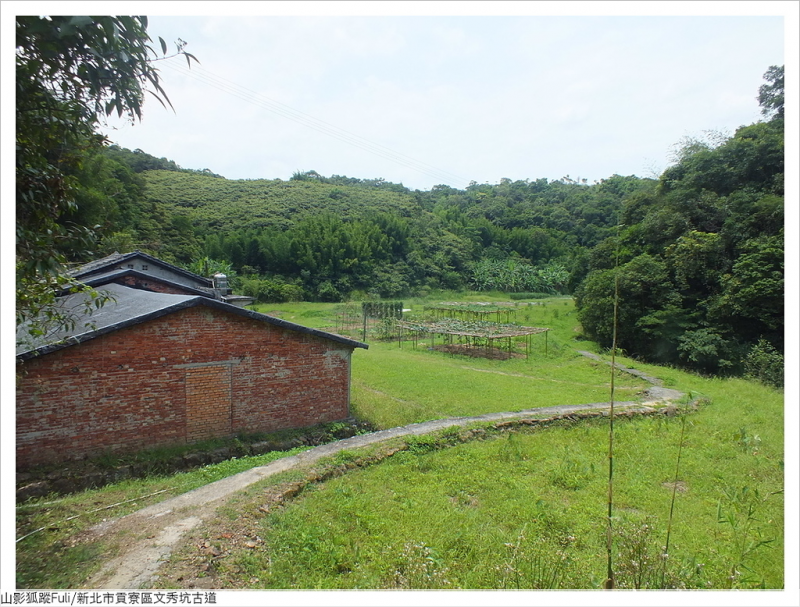 文秀坑古道 (70).JPG - 文秀坑古道