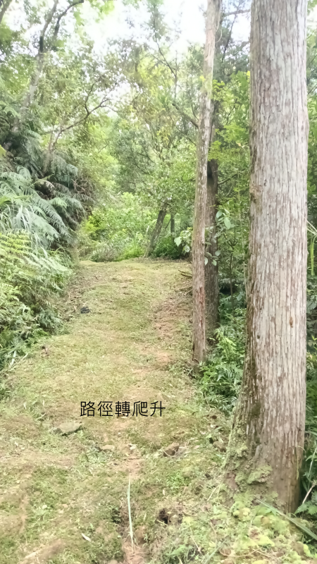 b137cf82e1356bbeb924accf7b9b97ae.png