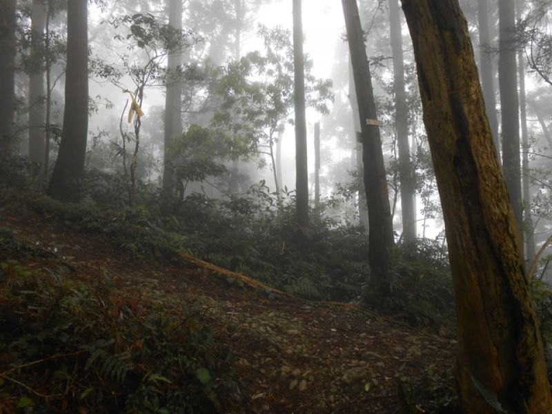 DSCN4152.JPG - 新竹關西外鳥嘴山、蓮包山