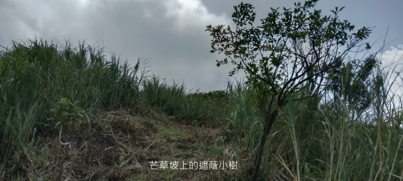 b19f0c50718361f8aeab2378455d4e1a.png