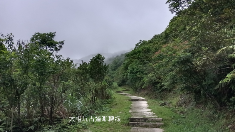 b20a581725a85261e41eedbe8a9e7d2d.png