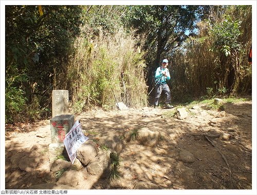 北得拉慢山毛櫸 (73).JPG - 北得拉曼山毛櫸