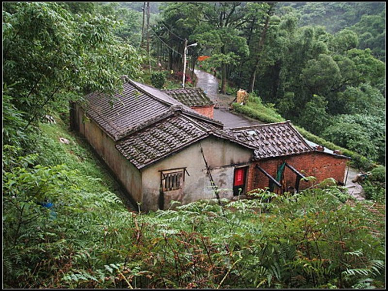 白雲古道 (29).jpg - 白雲古道、白雲寺