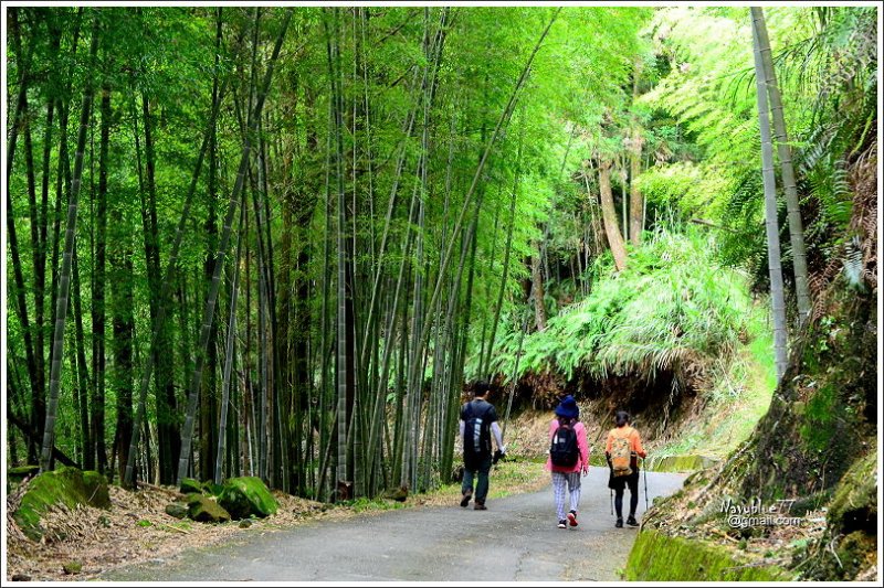 石壁木馬古道-五元二角-雲嶺之丘