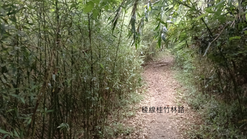 b35df33c1b088fb3c986a7d3ca05e13f.png