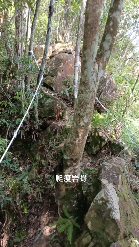 b3adebaffd52588e1873fdc2b679c884.png