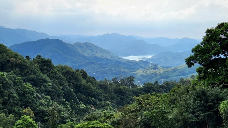 仙湖,杉木,夢竹,三峽三星,無敵展望金平山,連走三民蝙蝠洞,觀音洞步道,觀音洞瀑布
